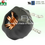 Vertical Inductor for car audio