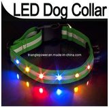 Nylon LED Dog Pet Flashing Light up Safety Collar Color