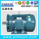 Iron Cast Three Phase Electric Compressor Motor (B3 37kw IP5)