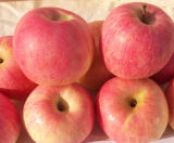 2014 Fresh Delicious FUJI Apples