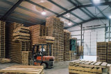 Steel Structure Project for Warehouse/Workshop