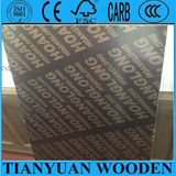 Plywood Film Faced/ Sandwich Board Plywood