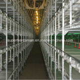Hot Sale Poultry Equipment Chicken Cage Feeding System