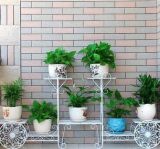 China Cheap Decorative Flower Pot Stands Plant Stands Garden Pot Stands