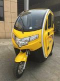 New Passenger Electric Tricycle