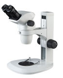 Zoom Stereo Micoscope Stereoscopic Microscopes