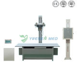 20 High Frequency Medical Chest Veterinary X-ray Equipment