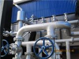 Customizable High Quality Organic Heat Carrier Coal-Fired Boiler