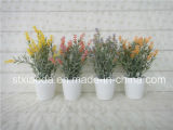 Artificial Plastic Potted Flower (XD14-152)
