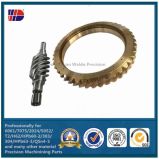 Worm Gear Manufactures Gear Manufacturing Worm Shaft and Worm Gear