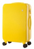 Fashion PC Hard Case Travel Luggage Suitcase