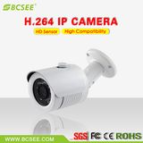 Factory Price Onvif 1080P 2.0MP CMOS Waterproof IP66 IP Camera