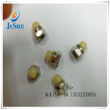 Stainless Steel Hex Cap Nut in China