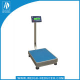 Ss Stainless Steel Platform Scale 380 X 380 Mm