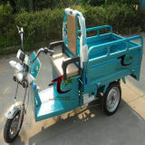 800W Three Wheel Motor Cargo Electric Tricycle