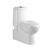 Sanitary Ware Toilet Sink (CE-T1324)