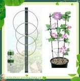 Flower Support