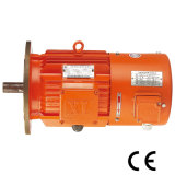Iec Electric Motor (0.12KW -200KW B5)