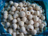 IQF Lychee Whole