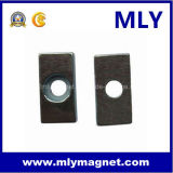 Special Rare Earth Permanent Magnet