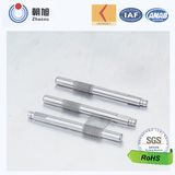 China Supplier Custom Made Precision Inox Screw Shaft