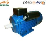 YC 220V AC Electric Motors Single Phase