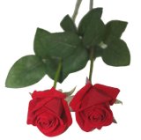Single Stem Rose, Made of Fabric