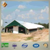 Customized Durable Steel Structure Poultry House