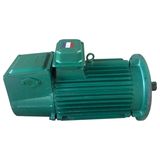 Y3 Super High Efficiency Electric Motor