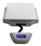 Electronic Digital Weighing Bench Scale 40kg*5g