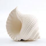 Conch Statue/ Cinch Figurine/ Imitated Conch Statue for Home or Hotel Decoration/ Decorative Conch Statue