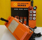 Crane Remote Control