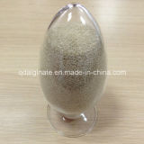 Sodium Alginate Textile Grade 800cps