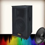 Ca-10 Single 10 Inch Speaker Monitor