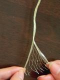 Split Rope