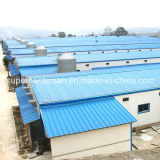 Full Set Automatic Steel Structure Poultry House
