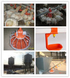 China Factory Supply High Quality Chicken Poultry Equipment