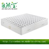 Mattress Top Memory Foam Pocket Spring Latex Mattress