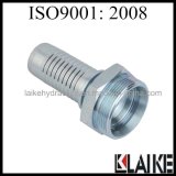 Forge Hydraulic Metric Fittings (10412)
