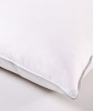 Hot Pillow Feather &Down Pillow, Fabric: 233t, 100% Cotton, Down Proof, Making: Double Stitched, Satin Piping, Packing: Non-Woven +PVC Bag+1 Insert