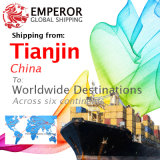 Sea Freight Shipping From Tianjin to Worldwide Destinations