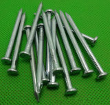 Galvanized Concrete Nails From Guangzhou Supplier