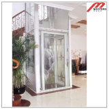 Luxury Home Elevator with 320kg
