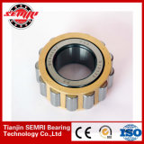 Cylindrical Roller Bearing with High Quality and High Precision (NU1005)