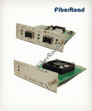 10g SFP+ to SFP+ Otn Fiber Media Converter Card
