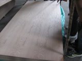 Oak Fancy Plywood in Natural Veneer