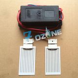 110V 7g Ozone Generator Used with Ceramic Ozone Plate