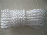 PP Packing Rope PP Baler Twine in Agriculture