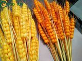 Foam Wheat Artificial Plant for Decoration