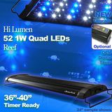 LED Quad 24